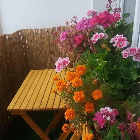 아파트 Apartman Tereza *
